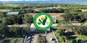 𝐓𝐀𝐔 𝐢𝐧 𝐌𝐨𝐭𝐢𝐨𝐧 | 𝐀 𝐁𝐥𝐞𝐬𝐬𝐞𝐝 𝐁𝐞𝐠𝐢𝐧𝐧𝐢𝐧𝐠